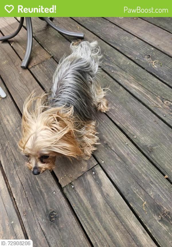 Reunited Male Dog last seen 65th Ave Brooklyn Park, Brooklyn Park, MN 55428