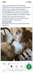 Reunited Female Dog last seen Ne86th st and 105th, Bronson, FL 32621