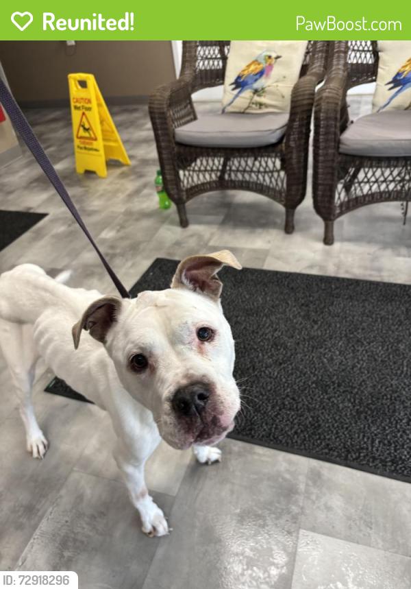 Reunited Female Dog last seen N leak st, Southern Pines, NC 28387