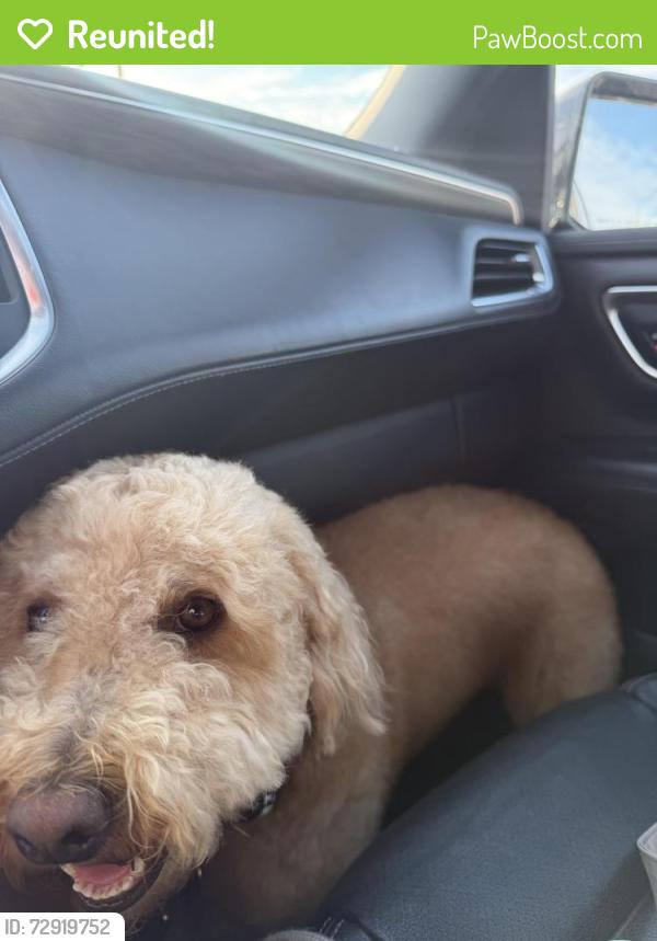 Reunited Male Dog last seen South glades way, Panama City Beach, FL 32407