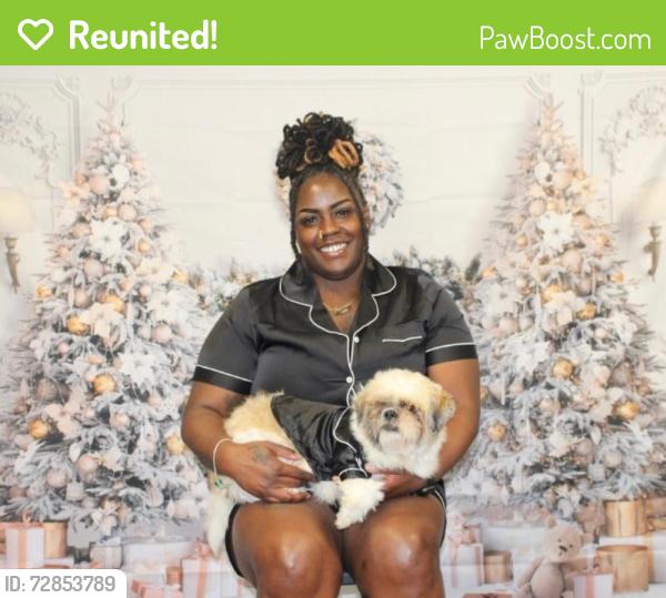 Reunited Male Dog last seen Michigan and Clearlake , Cocoa, FL 32922