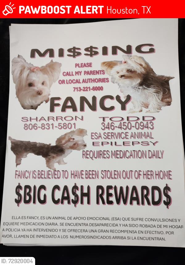 Lost Female Dog last seen Ella kurkendayl , Houston, TX 77014