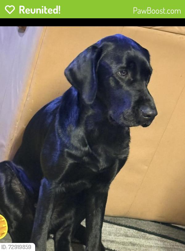 Reunited Male Dog last seen Caballero, Buena Park, CA 90621