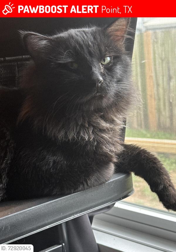 Lost Male Cat last seen All black, Point, TX 75472
