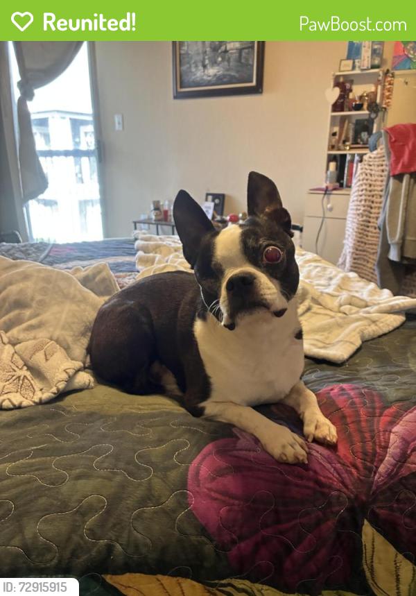 Reunited Male Dog last seen Cason Estates Apartments , Murfreesboro, TN 37128