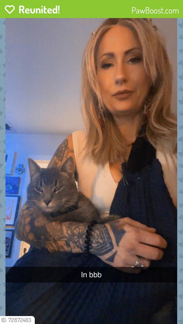 Reunited Male Cat last seen Orange Ave , Port Orange, FL 32127