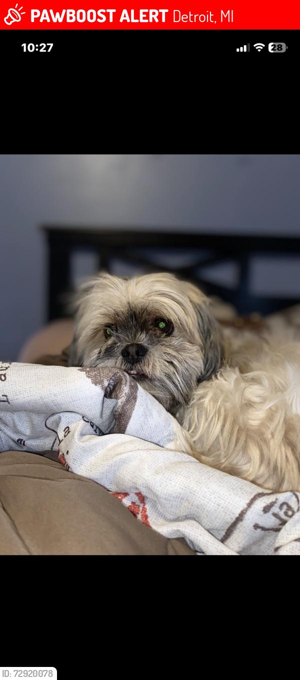 Lost Female Dog last seen 8mile and myers her house is on manor and Norfolk st, Detroit, MI 48221