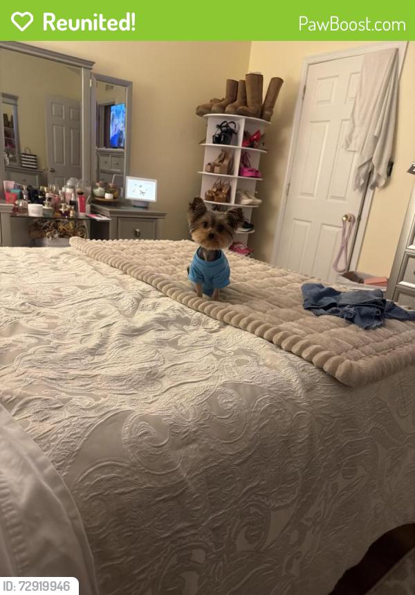 Reunited Male Dog last seen Good intent rd, Deptford, NJ 08096
