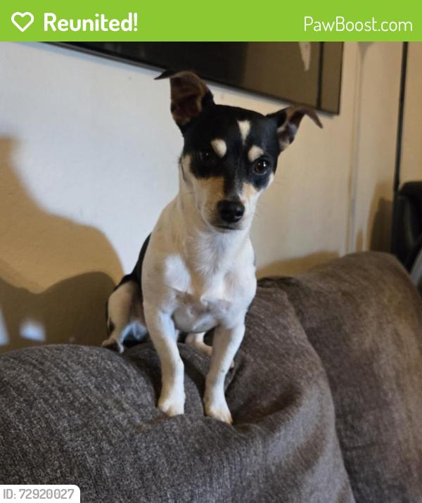Reunited Male Dog last seen Walerga and Elkhorn, North Highlands, CA 95660