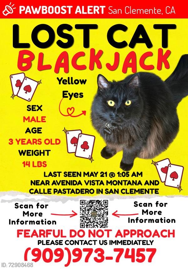 Lost Male Cat last seen Calle pastadero and Avenida vista Montana , San Clemente, CA 92672