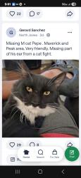 Lost Male Cat last seen Maverick/Peak, Las Vegas, NV 89108