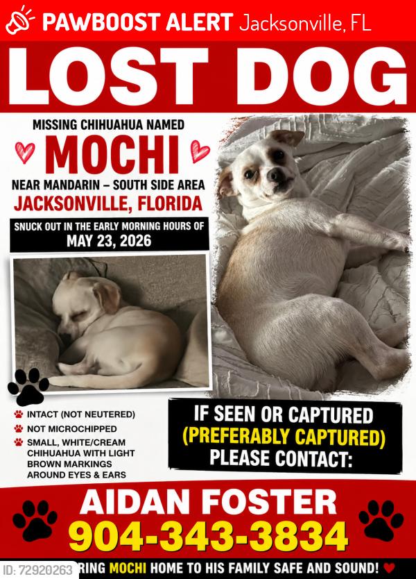 Lost Male Dog last seen Inside the Southern Oaks neighborhood (Mandarin/Southside area), Jacksonville, FL 32256