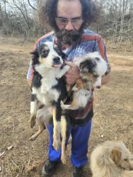 Lost Female Dog last seen 9th, San Antonio, TX 78215