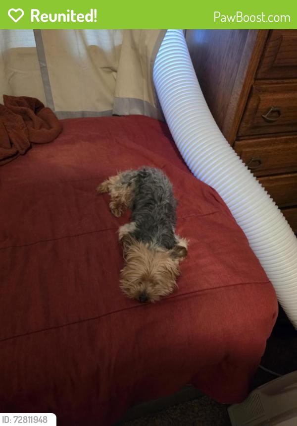 Reunited Male Dog last seen Adams, Riverside, CA 92504