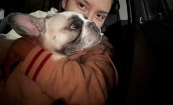 Reunited Female Dog last seen Font/via escalante, Riverside, CA 92509