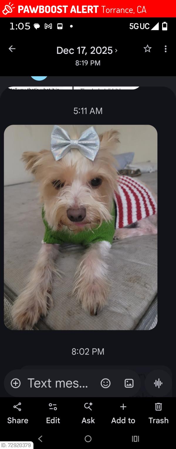 Lost Female Dog last seen Carson and crenshaw, Torrance, CA 90503