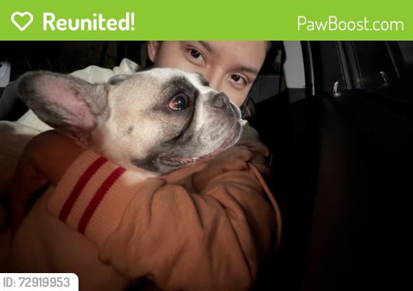 Reunited Female Dog last seen Font/via escalante, Riverside, CA 92509