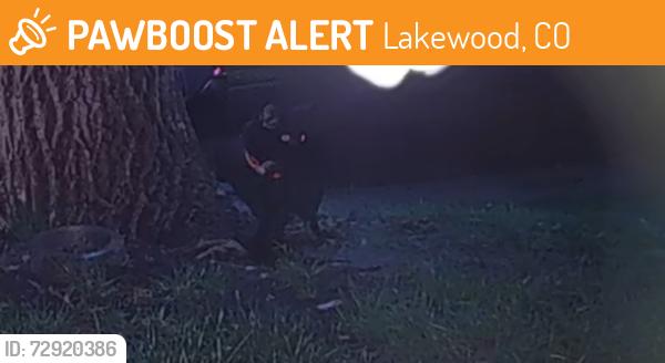 Found/Stray Unknown Cat last seen Estes and Floyd , Lakewood, CO 80227