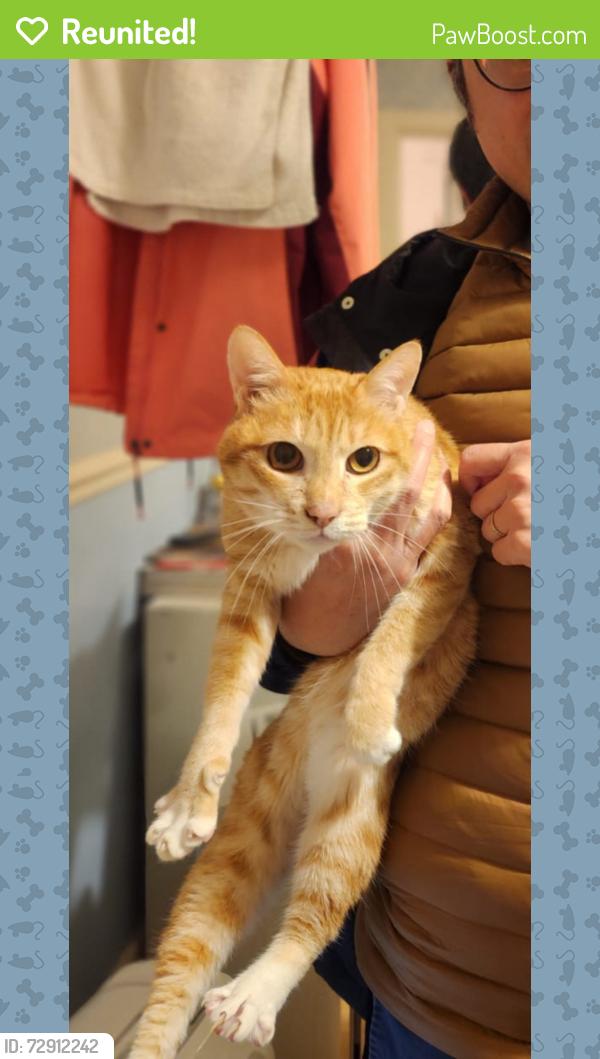 Reunited Male Cat last seen The old griffin head, Gildersome, England LS27