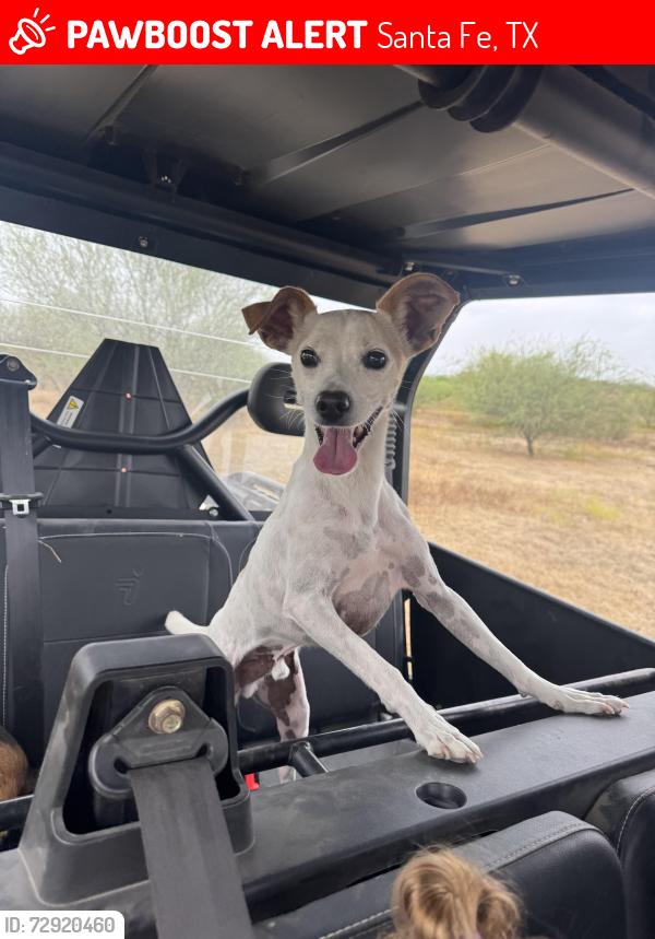 Lost Male Dog last seen Duroux Rd & Texas Avenue, La Marque, TX 77568