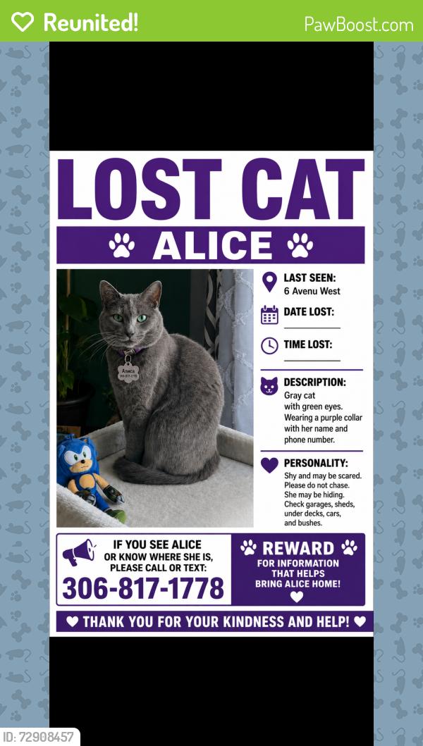 Reunited Female Cat last seen 6Avenue West, Meadow Lake, SK S9X