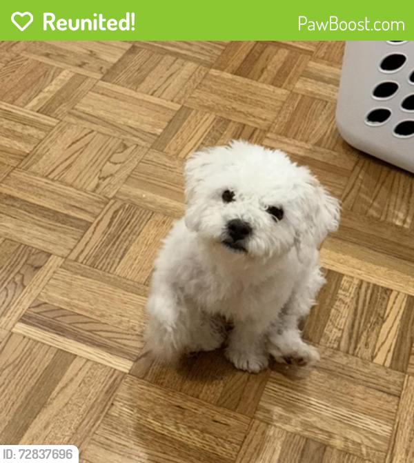 Reunited Male Dog last seen Near Fairfield avenue , Stamford, CT 06902