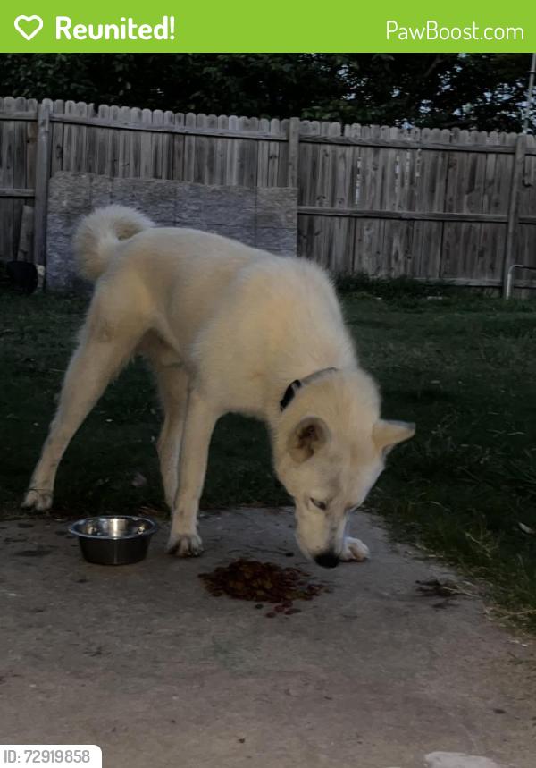Reunited Male Dog last seen Mesquite, TX, USA, Mesquite, TX 75149