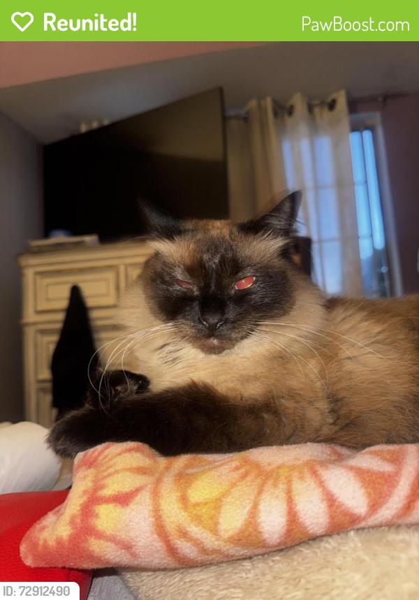 Reunited Female Cat last seen Marina Park Area , Pittsburg, CA 94565