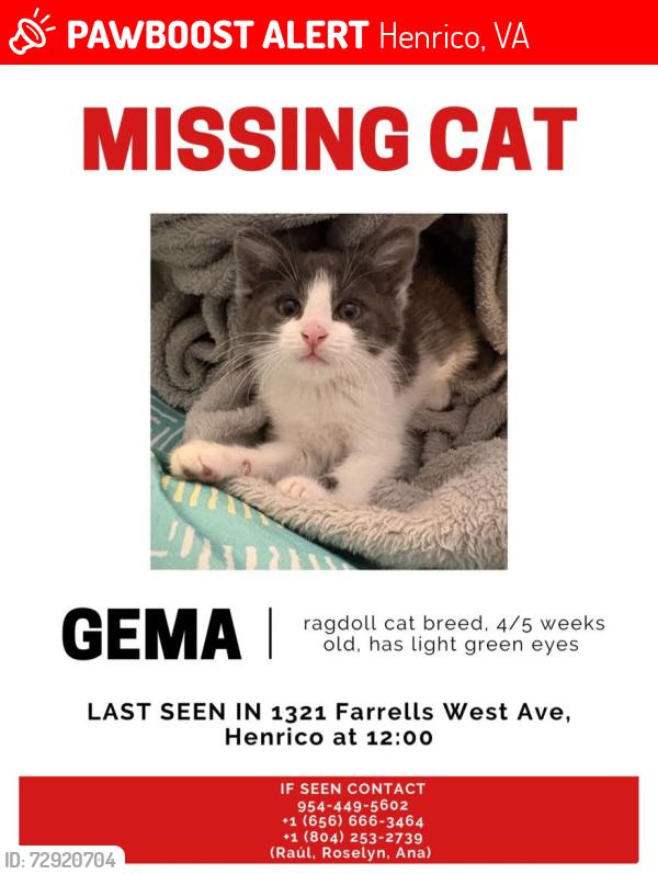 Lost Female Cat last seen Near farrells west ave, Henrico, VA 23229
