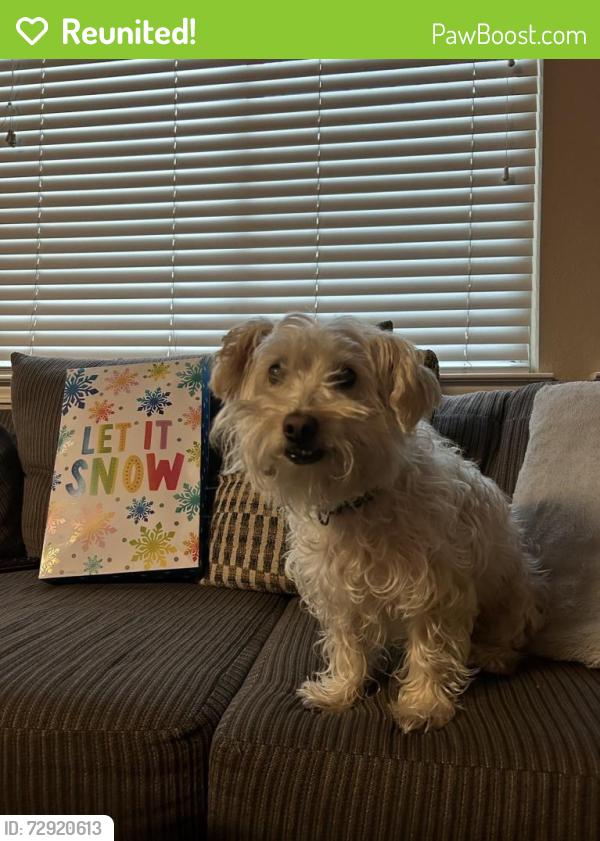 Reunited Male Dog last seen Rocklin, CA, USA, Rocklin, CA 95677
