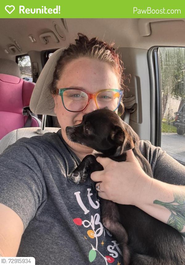Reunited Female Dog last seen Longenbaugh and Greenhouse, Cypress, TX 77433