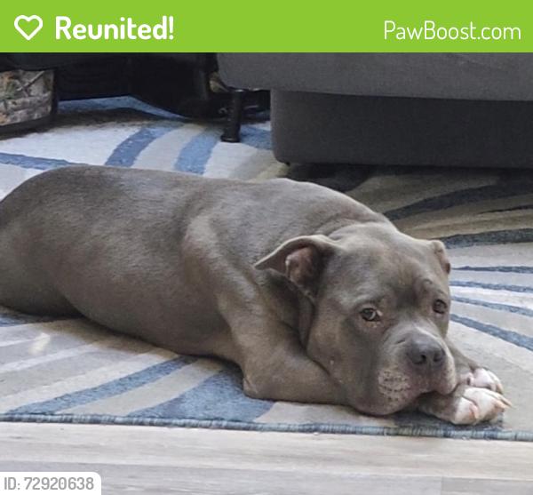 Reunited Male Dog last seen Mill Creek, Culpepper Landing, Chesapeake, VA 23323