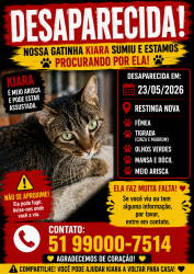 Lost Female Cat last seen Governador peracchi barcellos, próximo ao batalhão da brigada , Restinga, RS 91790-330