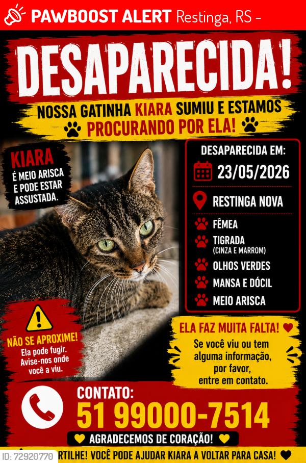 Lost Female Cat last seen Governador peracchi barcellos, próximo ao batalhão da brigada , Restinga, RS 91790-330