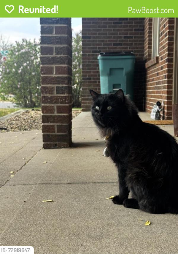 Reunited Male Cat last seen Monfort park , Greeley, CO 80634