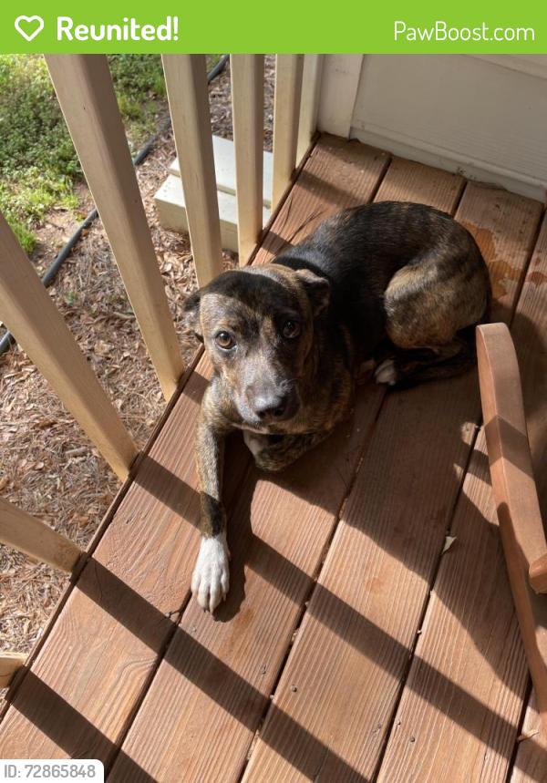 Reunited Unknown Dog last seen Whitney Heights Villa Rica, Villa Rica, GA 30180