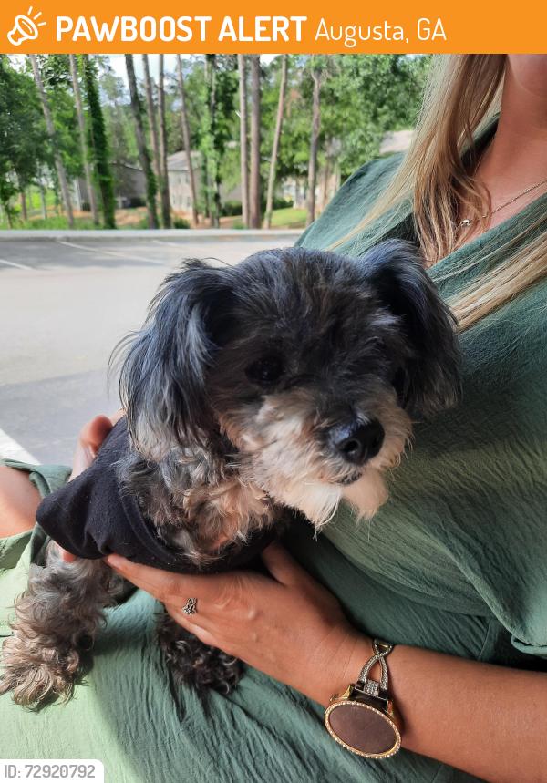 Found/Stray Female Dog last seen Riverwatch Pkwy, Augusta, GA 30907