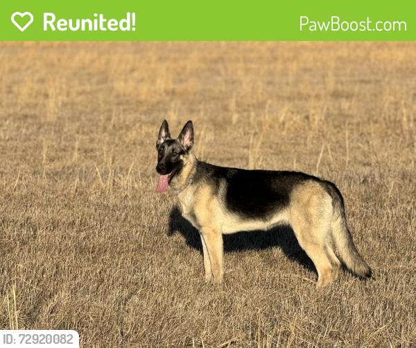 Reunited Female Dog last seen 53rd St & Berryton Rd, Berryton, KS 66409