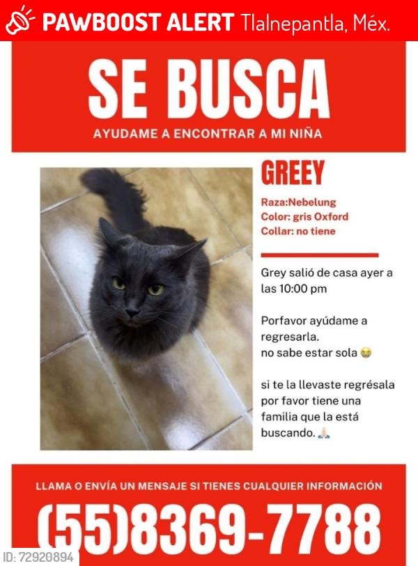 Lost Female Cat last seen Viveros del valle , Tlalnepantla, Méx. 