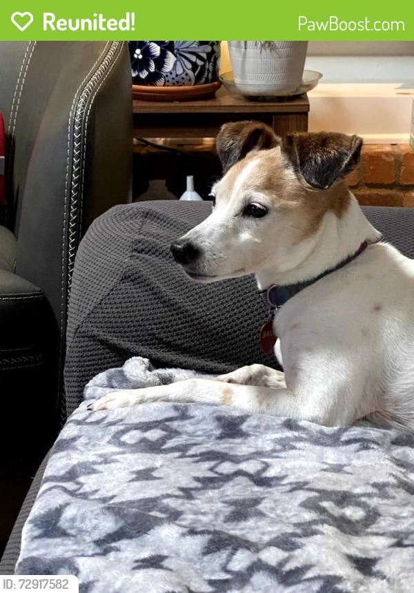Reunited Female Dog last seen Thorncliff and Guilbeau, San Antonio, TX 78250