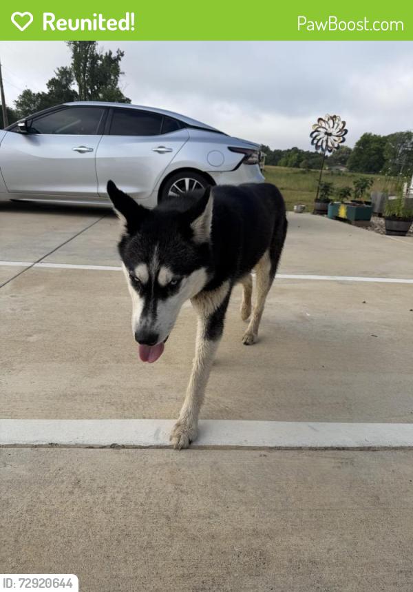 Reunited Unknown Dog last seen Hwy 64, cr 1147 , Tyler, TX 75704