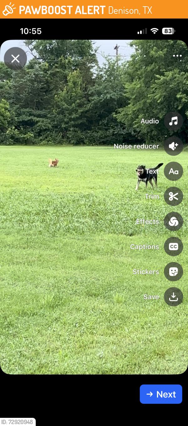 Found/Stray Unknown Dog last seen Near the bridge landmark on the 120 highway Texas to Oklahoma near/spotted on way to landmark red river bridge, Denison, TX 75020