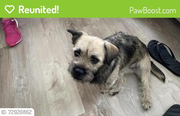 Reunited Female Dog last seen Near Cheetham Hill Blvd, Loxahatchee, FL 33470, USA, The Acreage, FL 33470
