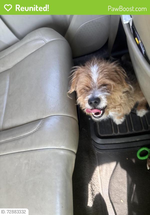 Reunited Male Dog last seen 68th Essington , Philadelphia, PA 19153