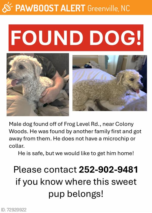 Found/Stray Male Dog last seen Frog Level Rd. & Colony Woods Dr. , Greenville, NC 27834