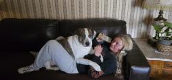 Lost Male Dog last seen Norton road, Grove City, OH 43123