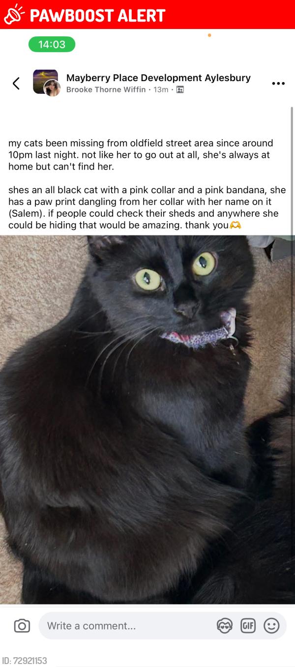 Lost Female Cat last seen Near Oldfield Street, Buckinghamshire, England HP19 9WZ