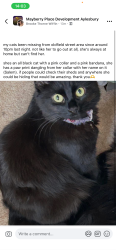 Lost Female Cat last seen Near Oldfield Street, Buckinghamshire, England HP19 9WZ