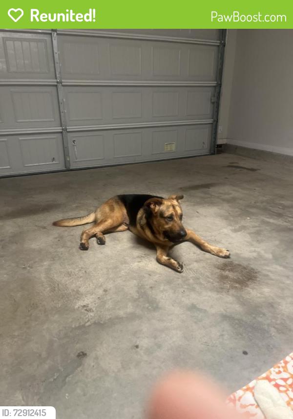 Reunited Male Dog last seen Centerfire rd, Waco, TX 76705