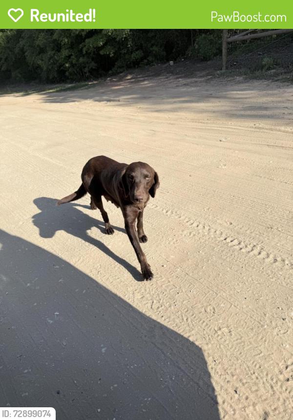 Reunited Female Dog last seen https://maps.apple/p/NRmTe-NAw5M5_s , Mobile County, AL 36587
